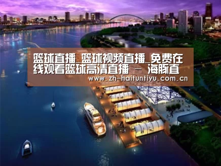 案例展示八