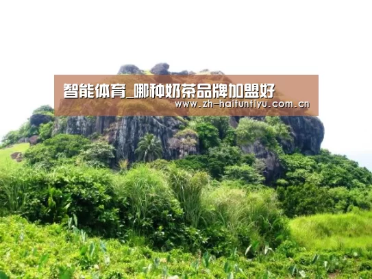 智能体育_哪种奶茶品牌加盟好(图2) 体育赛事