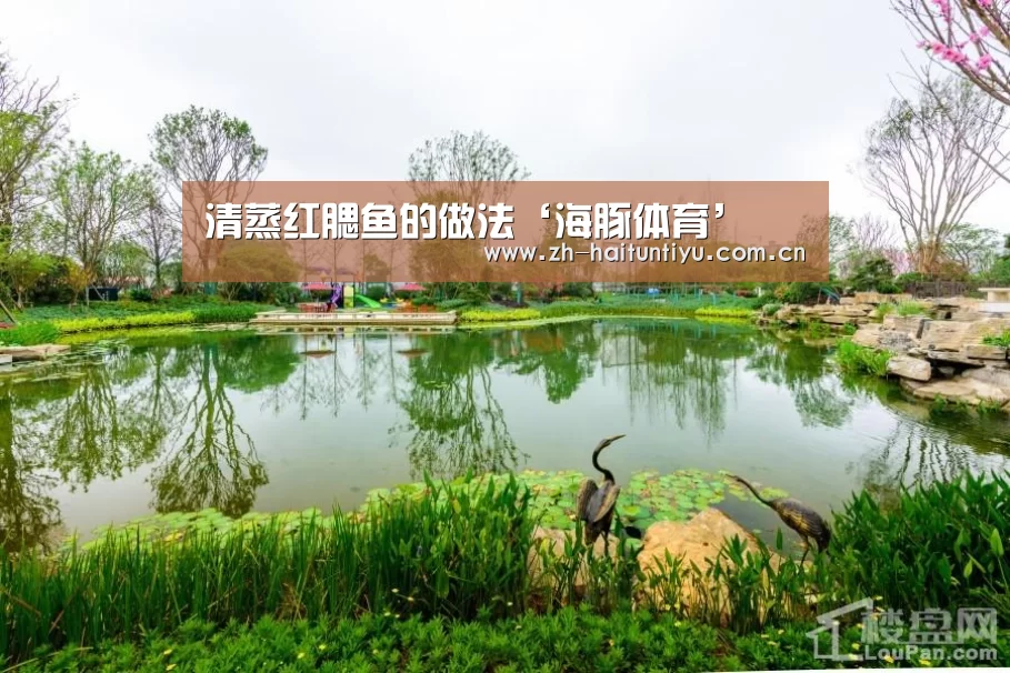 清蒸红腮鱼的做法‘海豚体育’(图3) 海豚体育